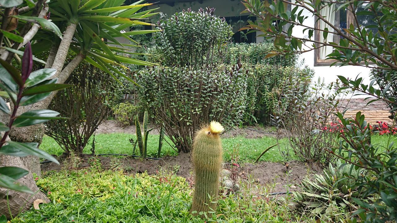 Villa Mimi Otavalo Luaran gambar
