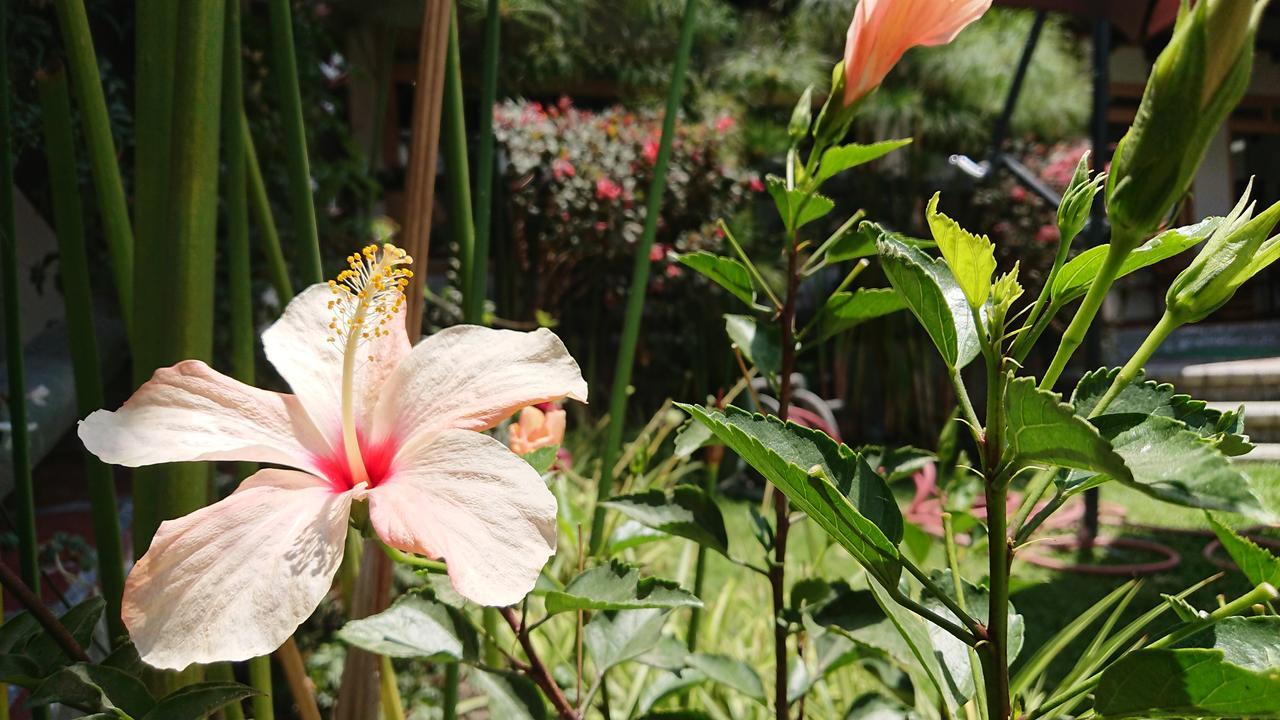 Villa Mimi Otavalo Luaran gambar